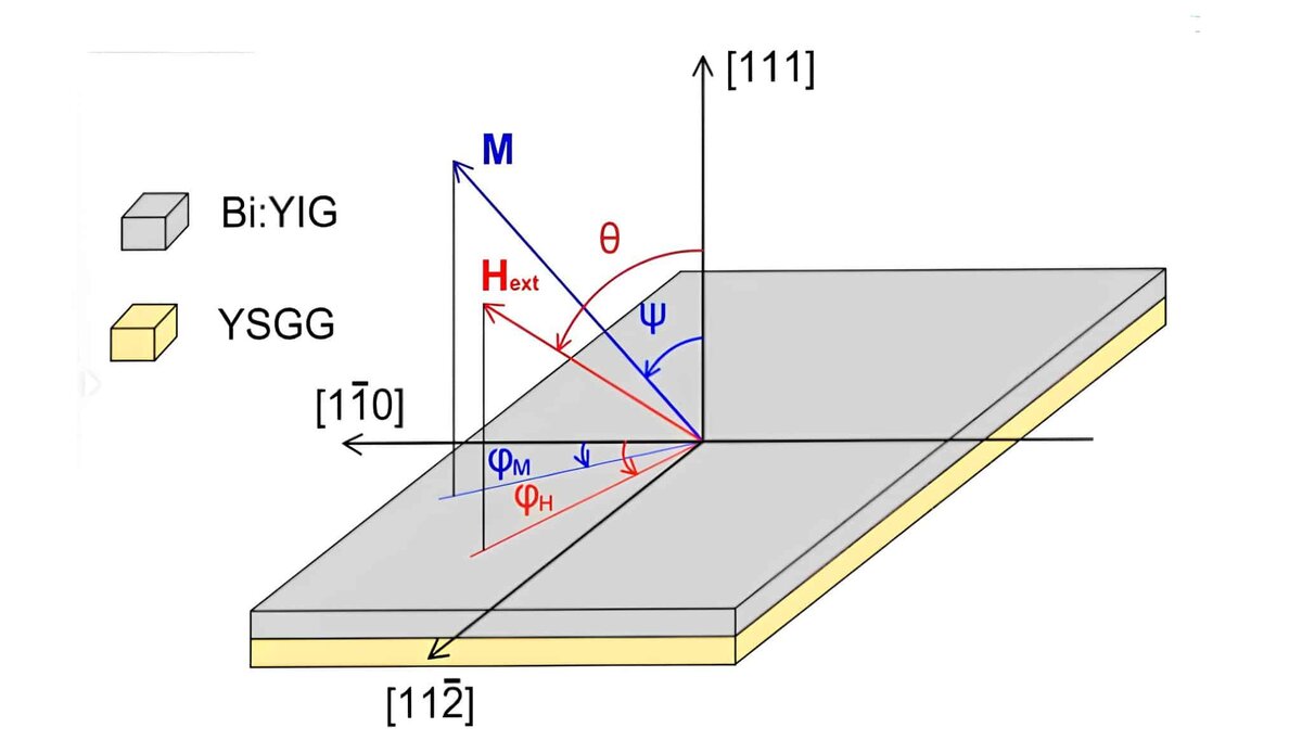   Фото: naked-science.ru Георгий
