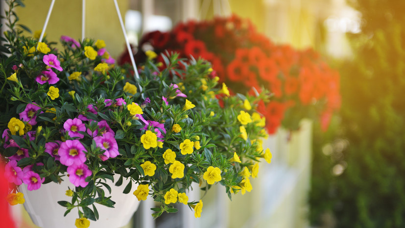    Фото: russian.rt.com Георгий