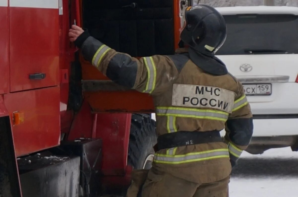    Масштабные противопожарные работы стартовали в Рязанской области