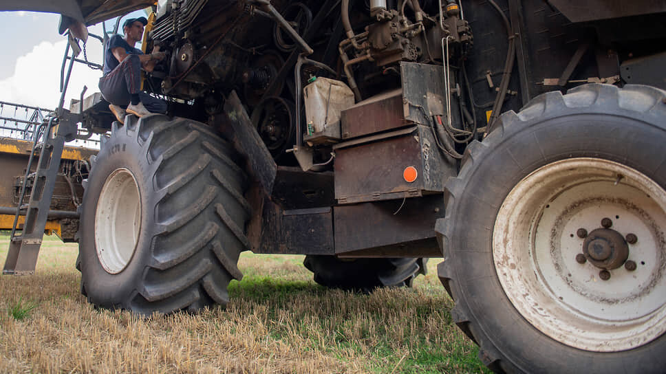 Фото: Артемий Шуматов / Коммерсантъ