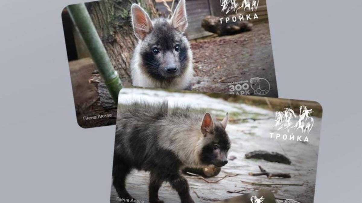    Фото: Telegram / Дептранс Москвы