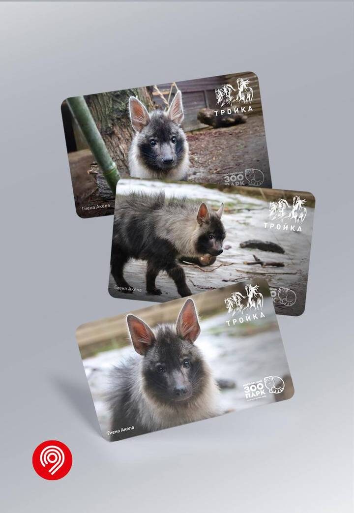  Фото: Telegram / Дептранс Москвы