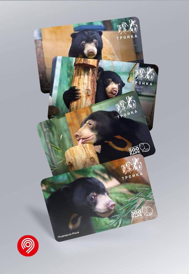  Фото: Telegram / Дептранс Москвы