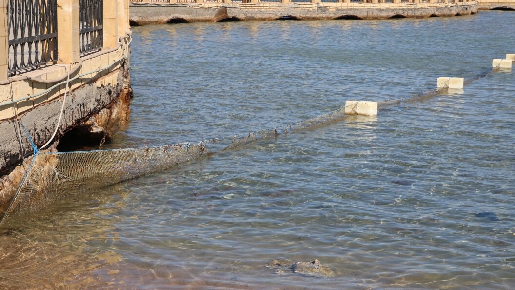    Фото: Maksim Konstantinov/Globallookpress