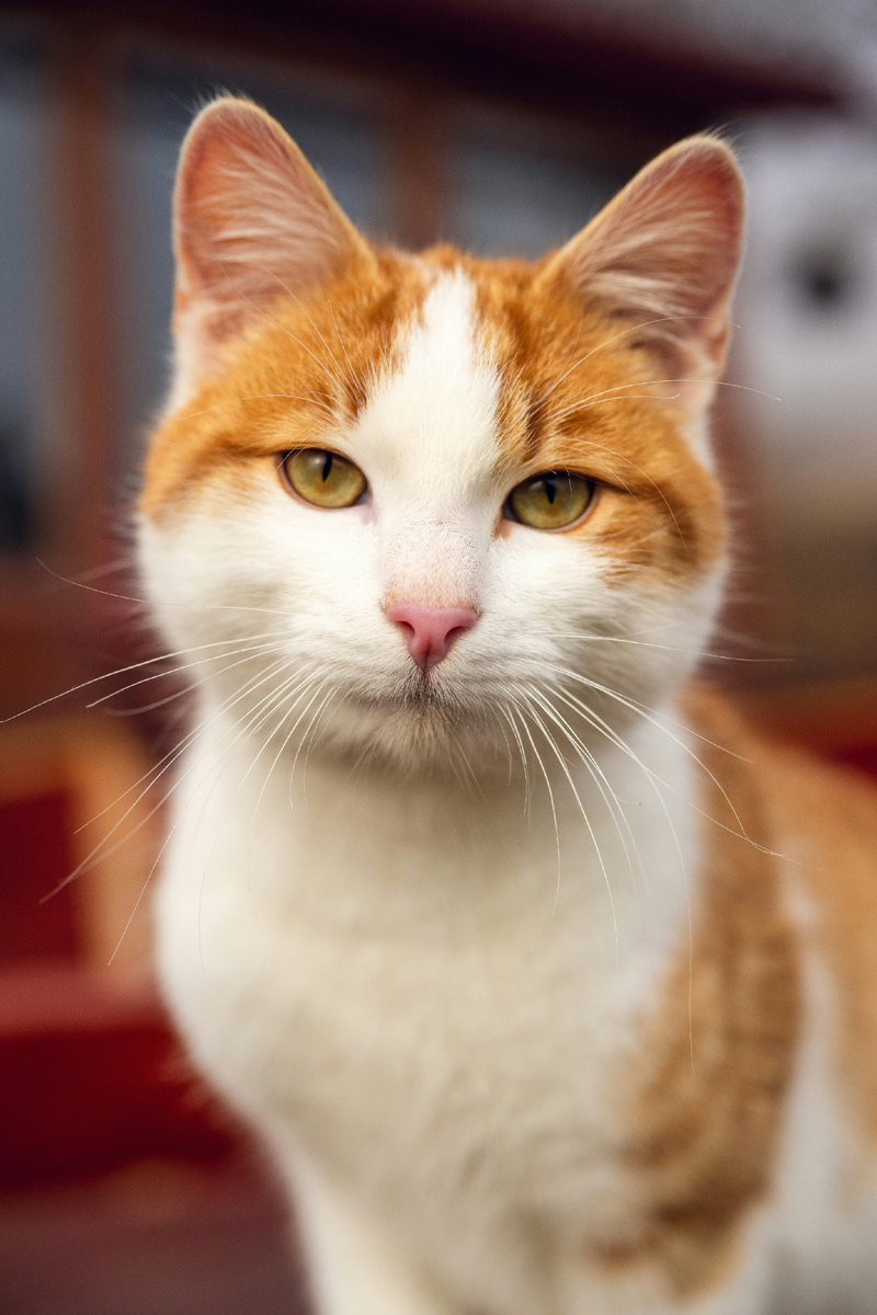 Источник фото: unsplash.com