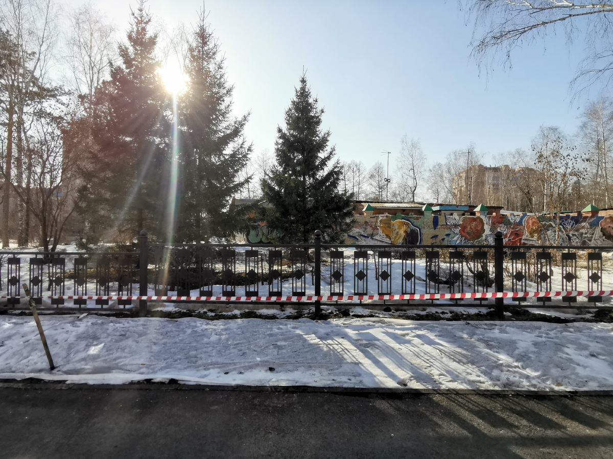 Фото: nsknews.info