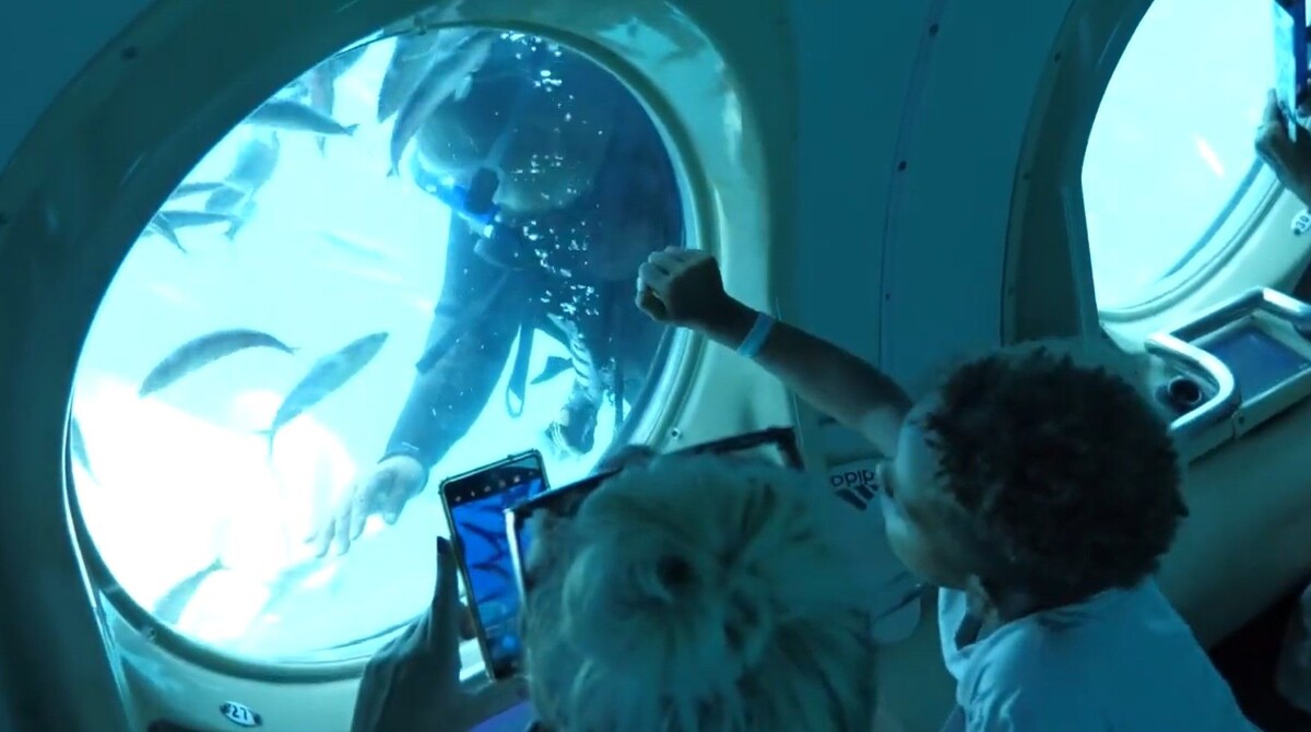     / Источник: Кадр из видео