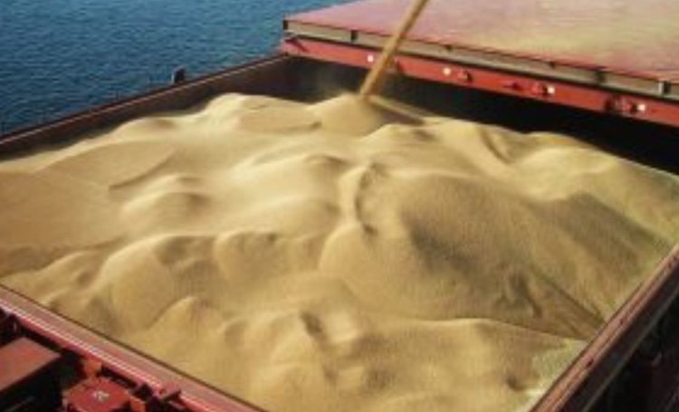    На экспорт из ДНР отгружено теплоходом порядка 7,5 тысячи тонн пшеницы