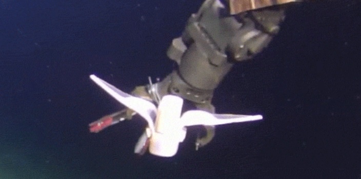    Фото: Zhejiang University via Sixth Tone