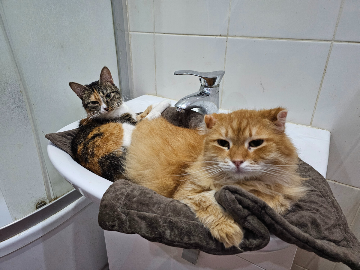 Фото автора. Ребятки.