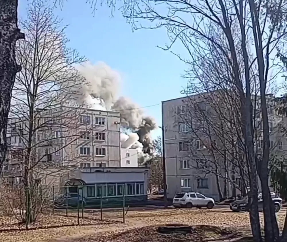    Фото: стоп-кадр видео из телеграм-канала «Интересный Приморск»