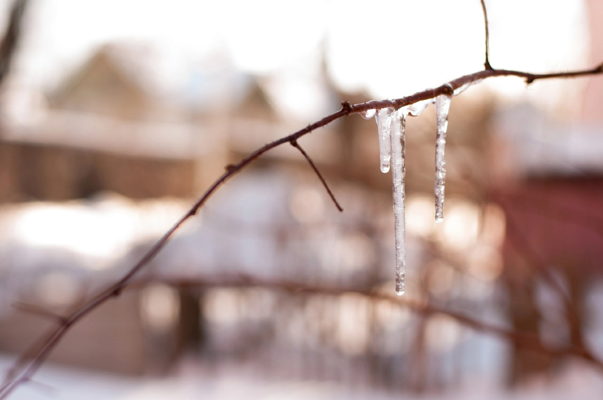 Личное фото 