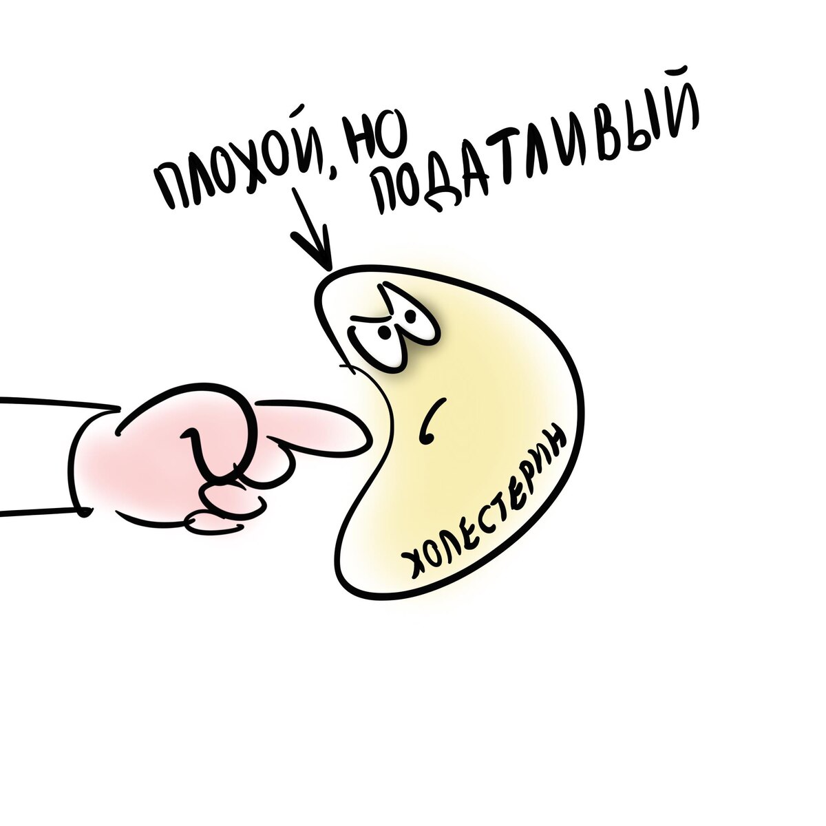 Податливый холестерин