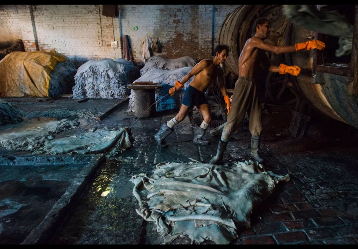 Дубление в Индии