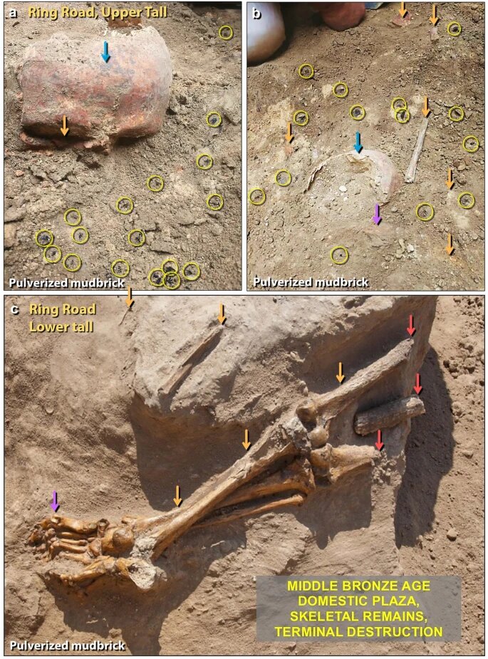 Человеческие останки с места раскопок