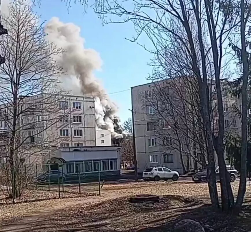    Фото: стоп-кадр видео из телеграм-канала «Интересный Приморск»