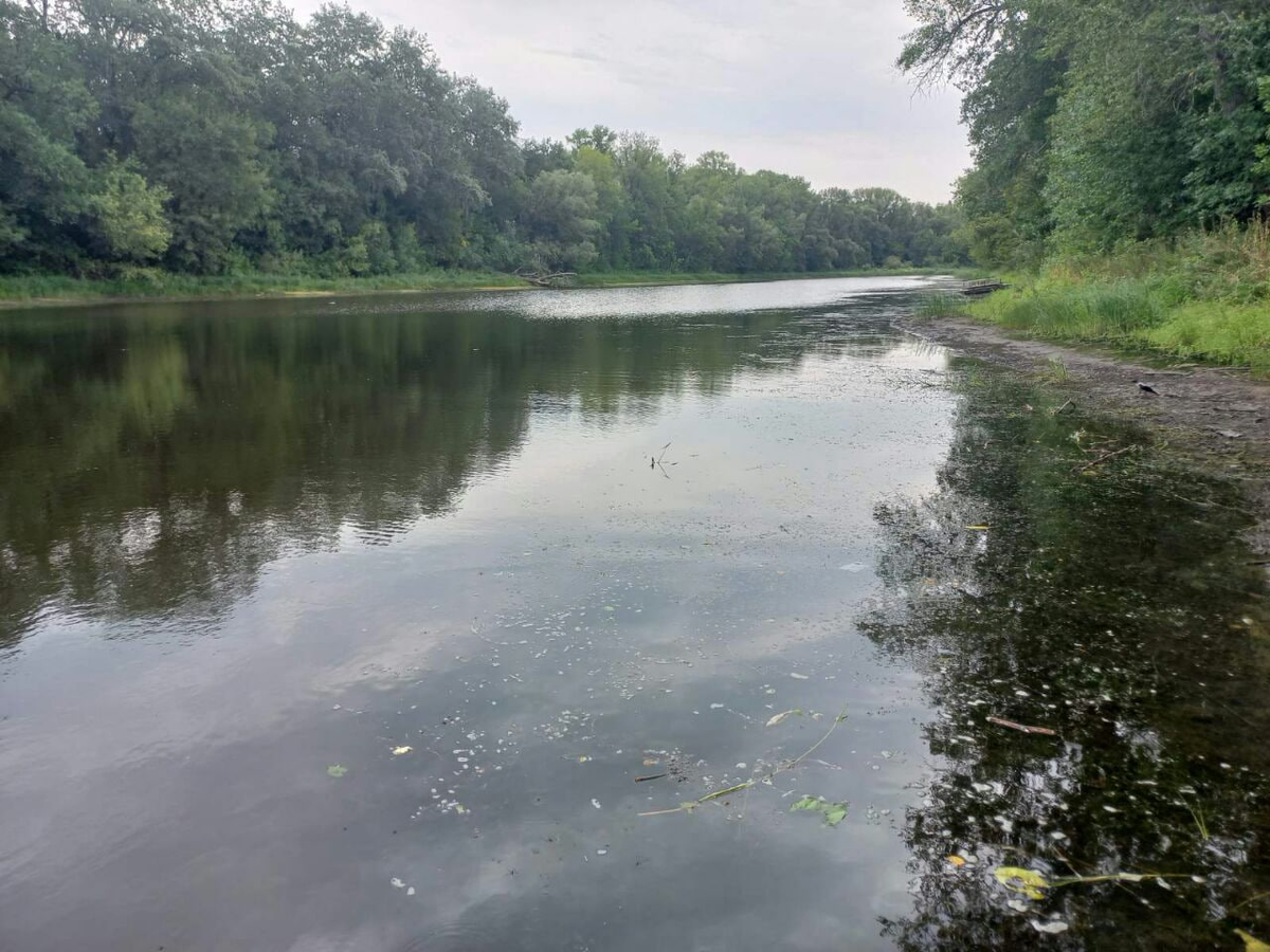 Фото автора.