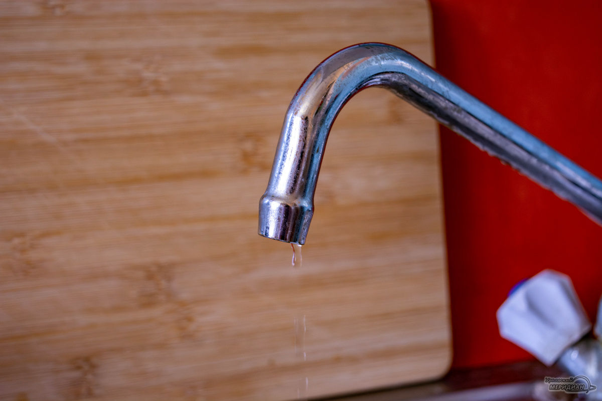    Фото: Галина Ниценкова © ИА «Уральский меридиан»