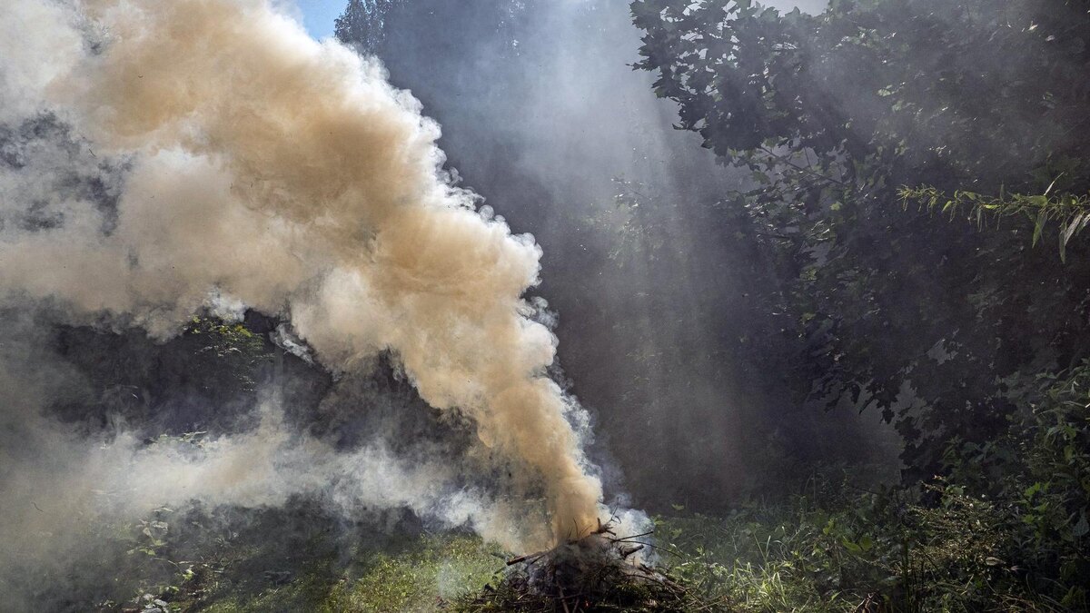 Фото: ИЗВЕСТИЯ/Константин Кокошкин