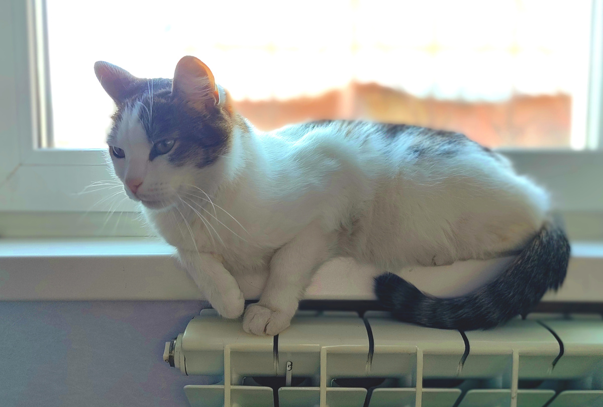 Тёма. Когда он так сидит, мне всегда хочется его поправить. Даже смотреть на эту фотографию мне неудобно