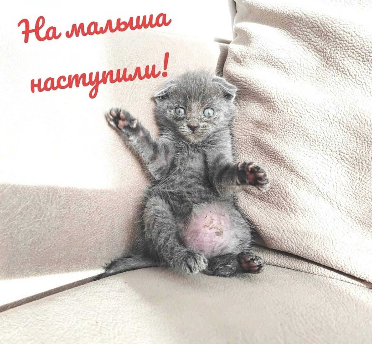 Фото из архива автора