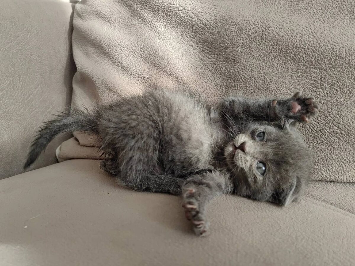 Фото из архива автора