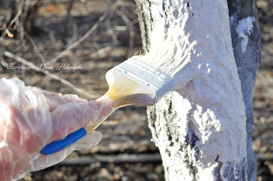 Работы провожу в солнечный, безветренный день.