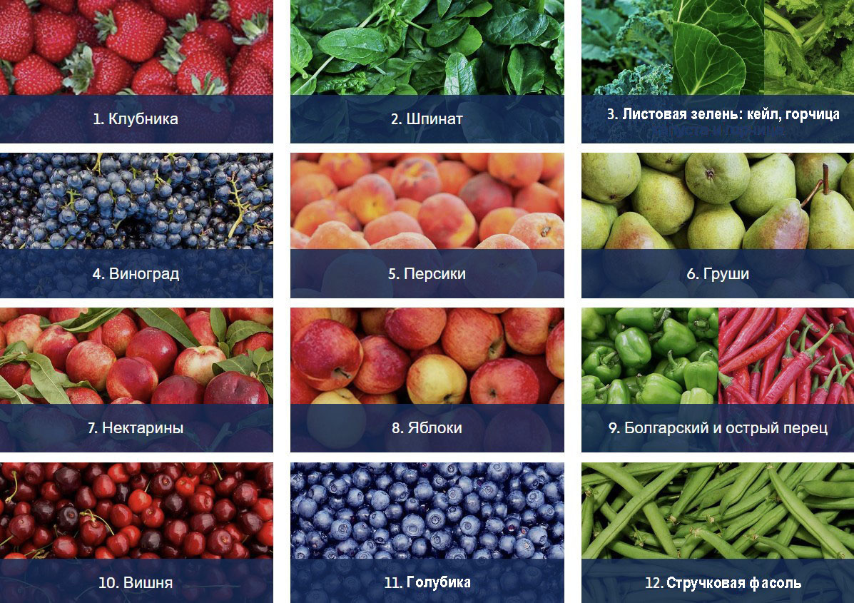 Грязная дюжина овощей и фруктов 2024 года