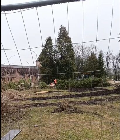 Фото: соцсети