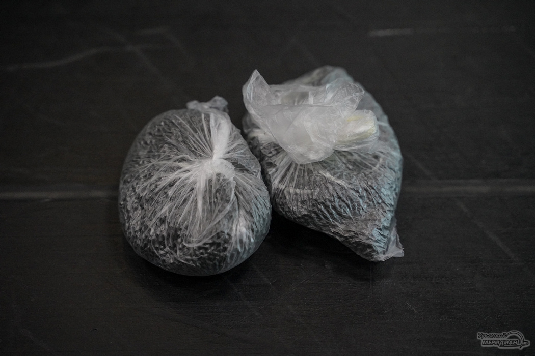    Фото: Лидия Аникина © ИА «Уральский меридиан»