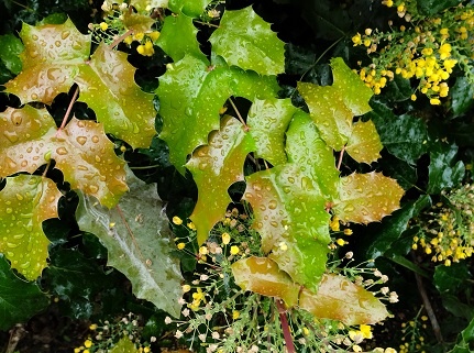 Фотография из личных архивов автора