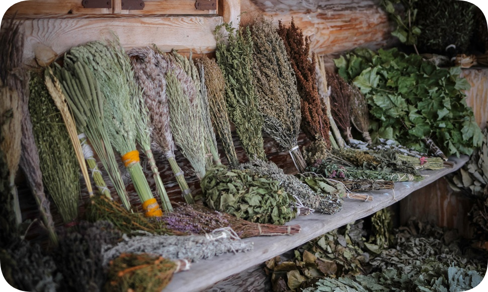 ВИДЫ БАННЫХ ВЕНИКОВ