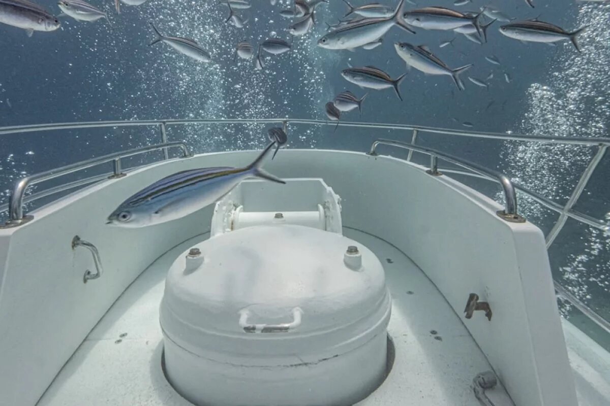    Страшно, душно, темно.