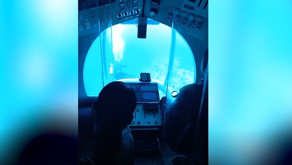    Автор фото: ТАСС/ Reuters/ SWNS