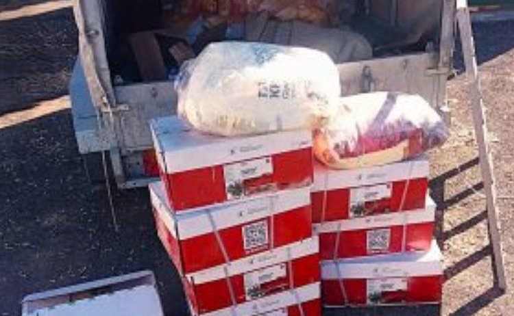    Пестицидную аферу пресек Россельхознадзор в Оренбургской области