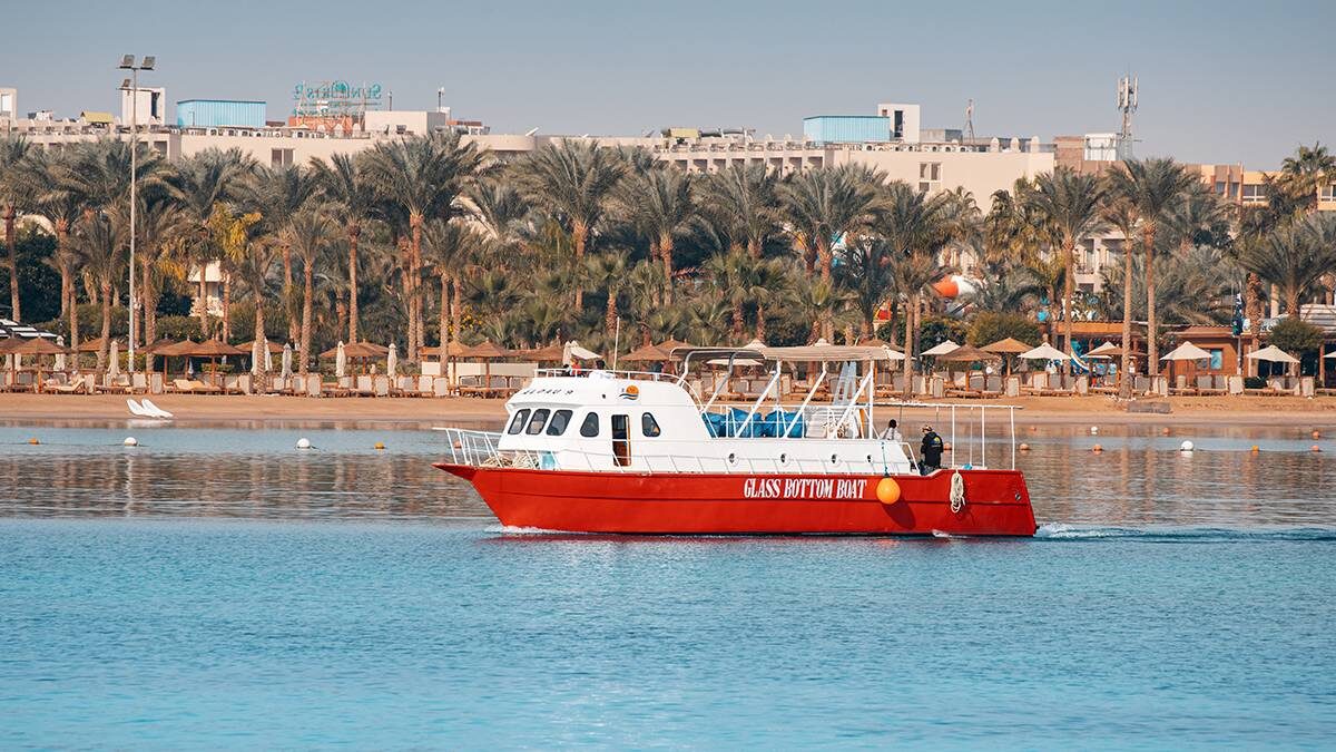    Фото: shutterstock