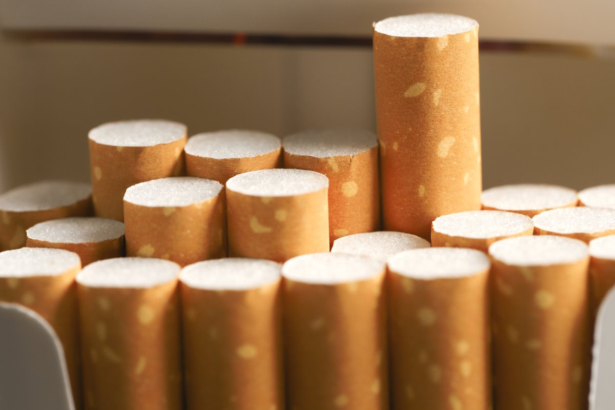    Фото: fongbeerredhot / Shutterstock.com