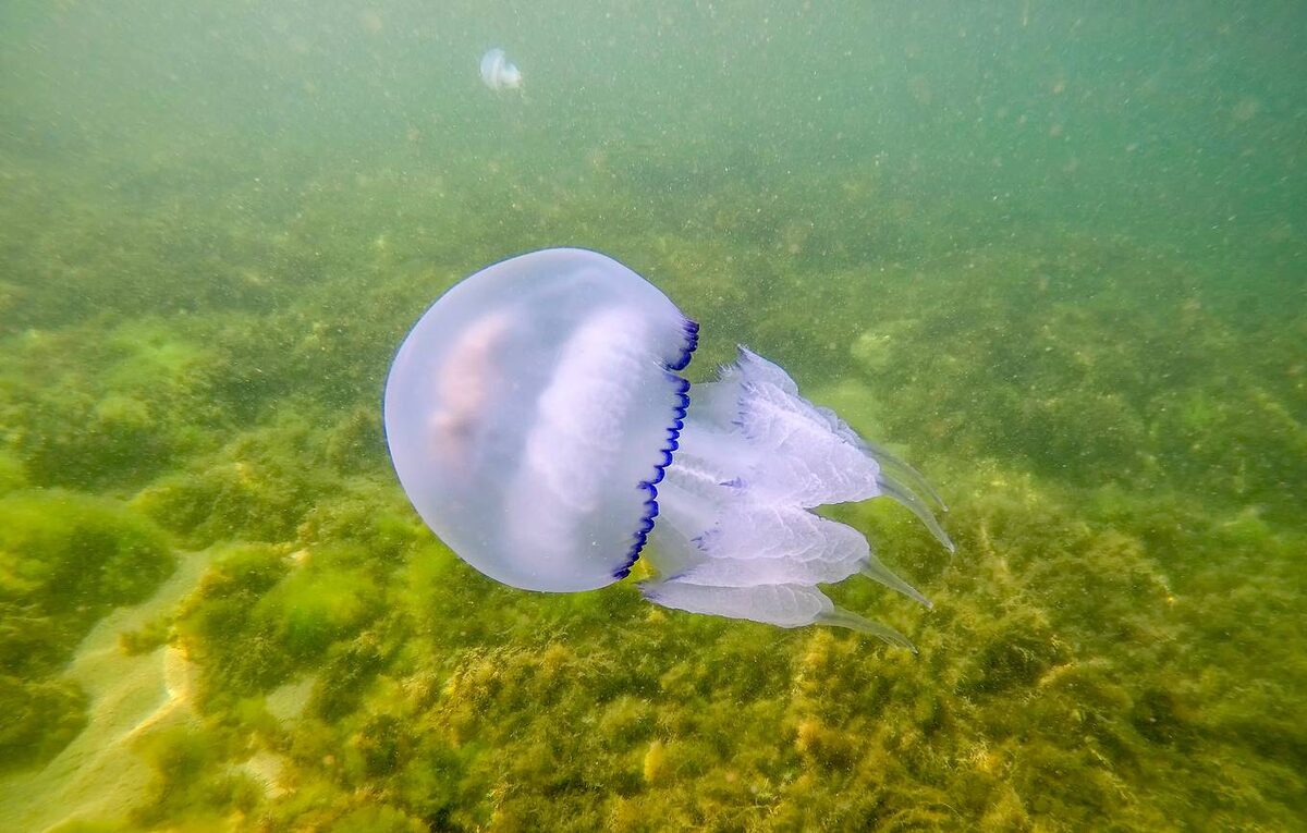 © HalizovS/Shutterstock/FOTODOM