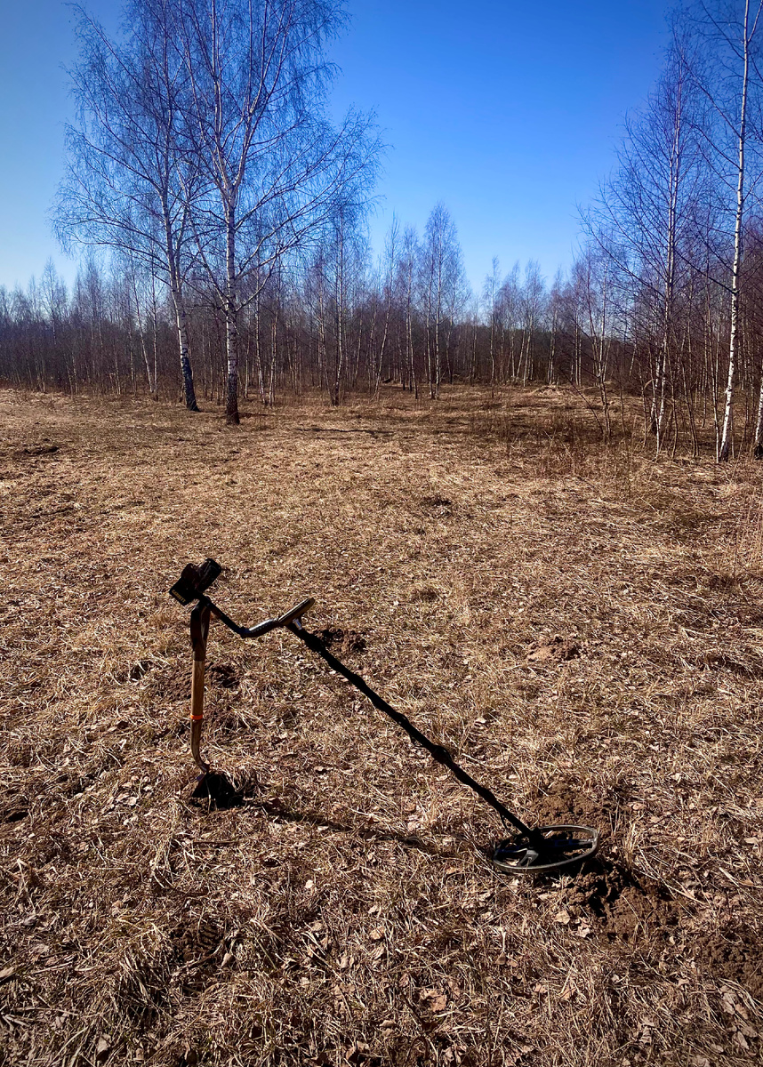 Поле косится, по нему идёт до сих пор активный движ из туристов, дачников, собачников и велосипедистов, растёт земляника и борщевик, который любит плодородную почву, поэтому локация мне приглянулась сразу