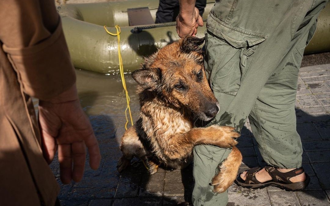 president.gov.ua📷
