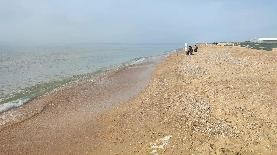 Фото: www.atorus.ru