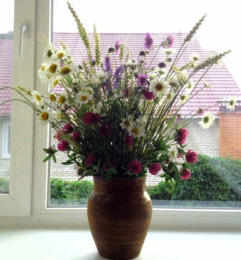 Полевые цветы. Фото Д. Сунгатуллиной. Крынка найдена в заброшенной деревне. Теперь радует новую семью.