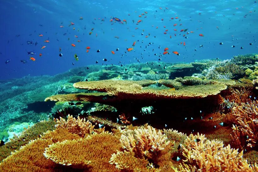     © РИА Новости. Антон Денисов