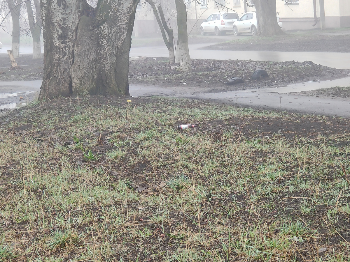 Бутылка на газоне