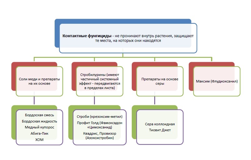 Классификация контактных фунгицидов по действующему веществу