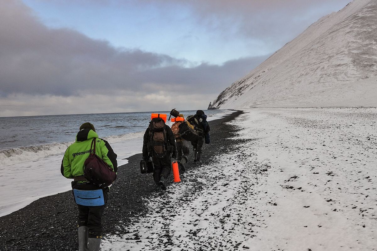     / Источник: © Global Look Press