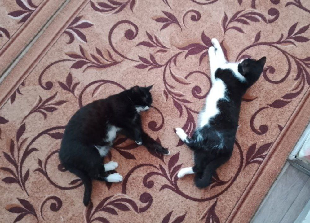 Серафима и Бася