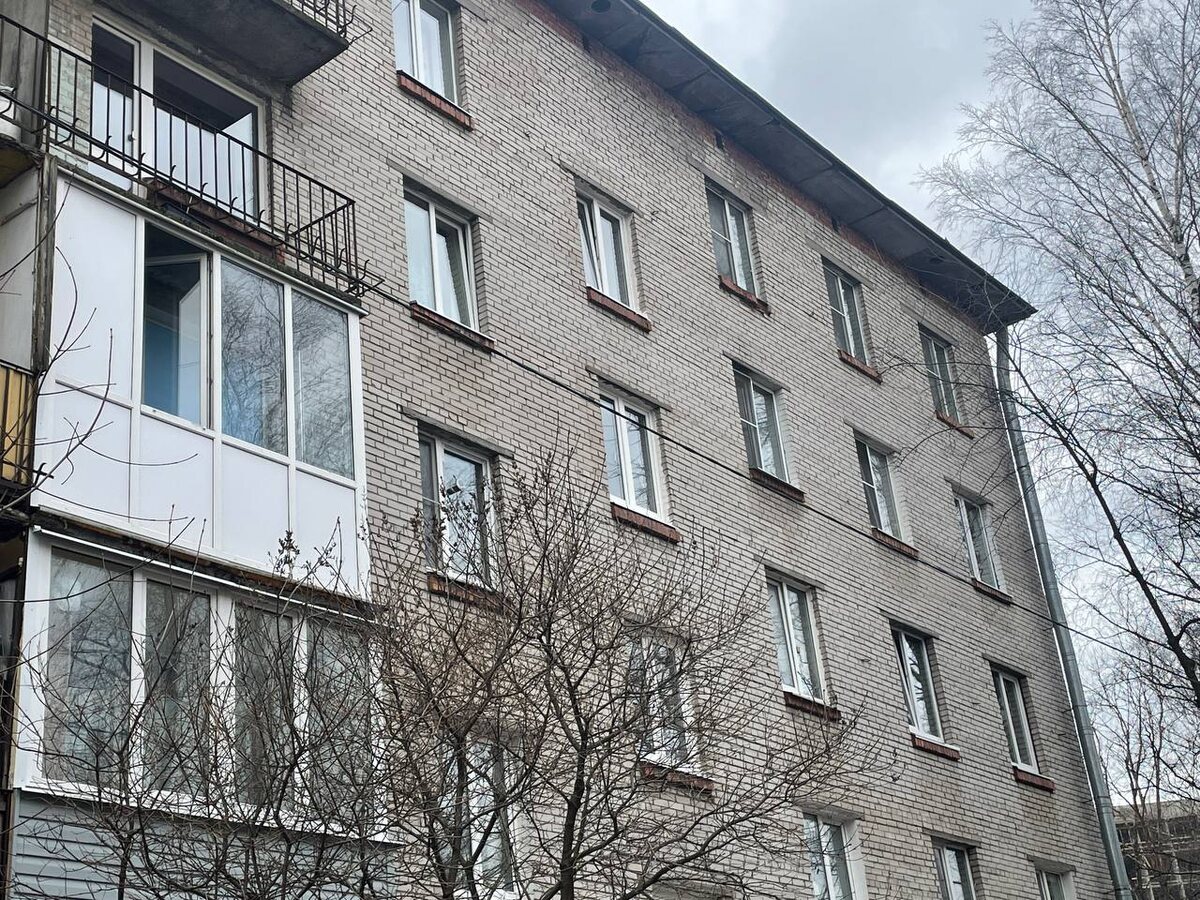 © t.me / Пресс-сек Красногвардейского