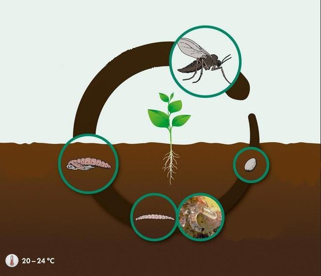 Фото из интернета 