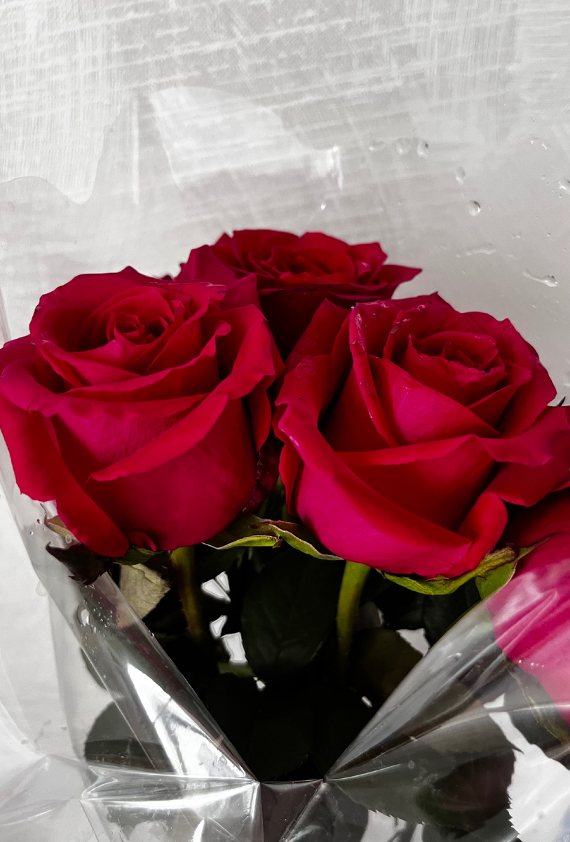 Цветы, которые радуют и греют душу.